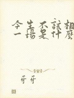 今生不该相遇爱一场是什么歌