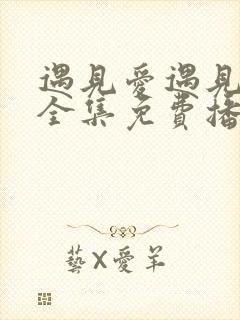 遇见爱遇见幸福全集免费播放