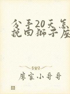 分手20天怎么挽回狮子座