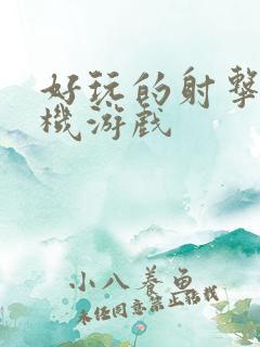 好玩的射击类单机游戏