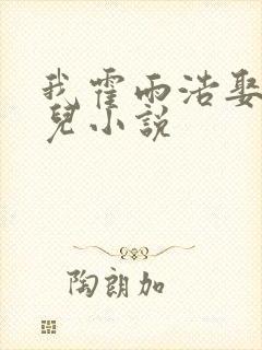 我霍雨浩娶王秋儿小说