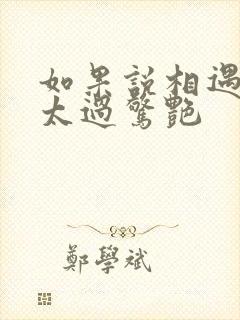 如果说相遇时候太过惊艳