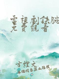 电视剧铁腕行动免费观看