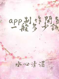 app制作开发一般多少钱