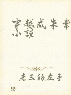 穿越成朱常洛的小说