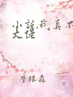 小说,我真不是大佬