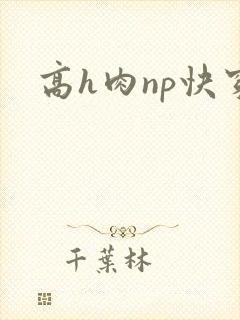 高h肉np快穿
