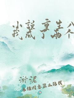 小说 重生八零我成了两个孩子的后妈