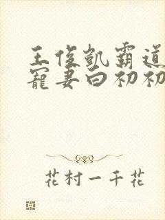 王俊凯霸道总裁宠妻白初初