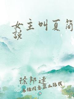 女主叫夏简的小说