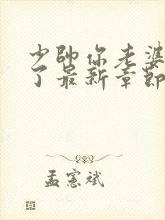 少帅你老婆又跑了最新章节新