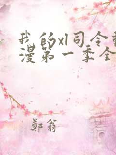 我的xl司令动漫第一季全集在线观看