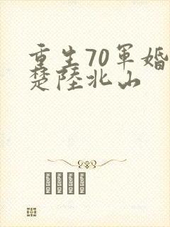重生70军婚宋楚陆北山