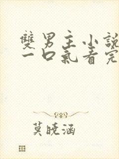 双男主小说推荐一口气看完