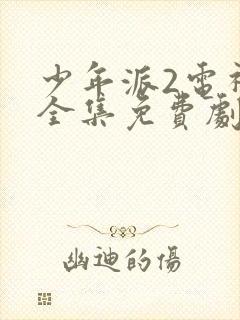 少年派2电视剧全集免费剧情介绍