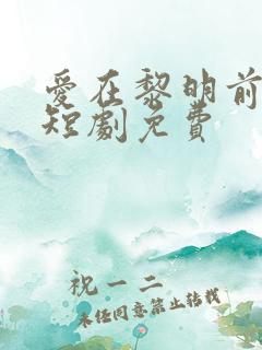 爱在黎明前升起短剧免费