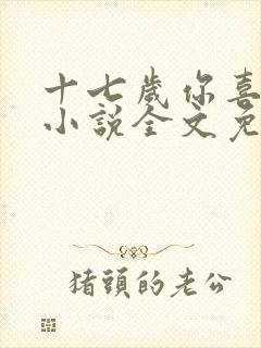 十七岁你喜欢谁小说全文免费阅读