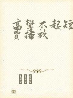 高攀不起短剧免费播放