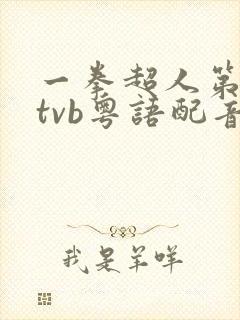 一拳超人第二季tvb粤语配音