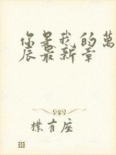 你是我的万千星辰最新章