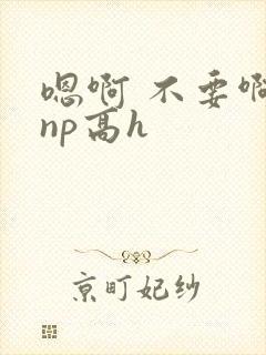 嗯啊 不要啊 np高h