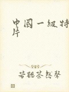 中国一级特黄大片