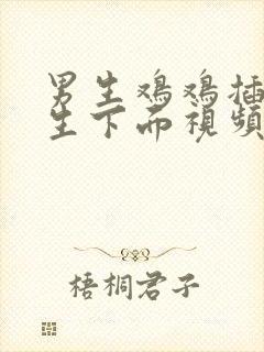 男生鸡鸡插进女生下面视频