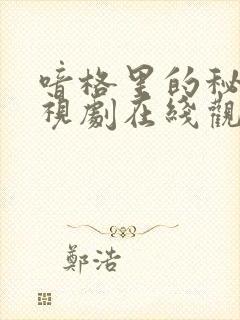 喑格里的秘密电视剧在线观看