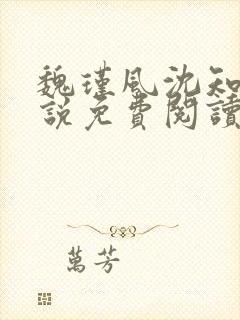 魏瑾风沈知玉小说免费阅读最新章节