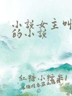 小说女主叫颜夏的小说