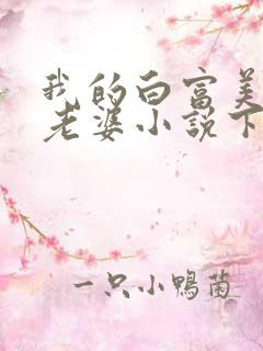 我的白富美总裁老婆小说下载