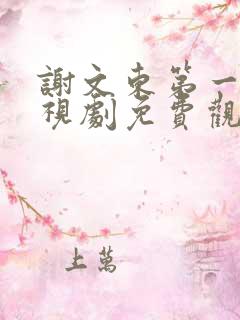 谢文东第一季电视剧免费观看