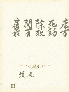 房间除死老鼠臭最有效的方法