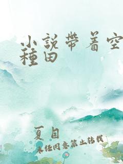 小说带着空间去种田