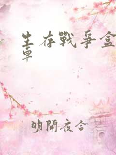 生存战争盒子安卓