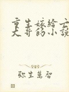 重生嫁给亡夫他大哥的小说