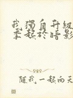 我独自升级第二季起于暗影