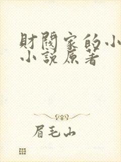 财阀家的小儿子小说原著