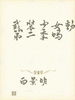 武装少女动漫有第二季吗