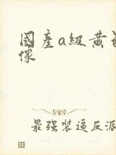 国产a级黄色录像
