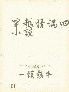 穿越情满四合院小说