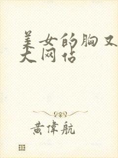 美女的胸又黄又大网站