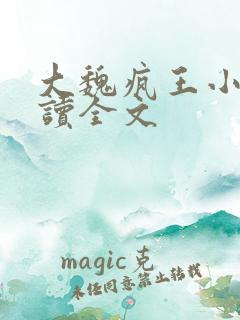 大魏疯王小说阅读全文