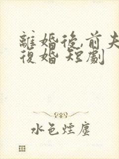 离婚后,前夫求复婚 短剧