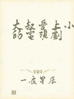 大叔爱上小女孩的电视剧