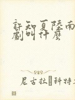 许知夏陆南风短剧叫什么