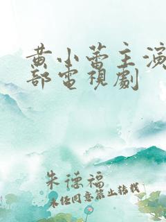 黄小蕾主演的全部电视剧