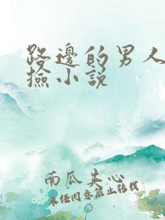 路边的男人不要捡小说