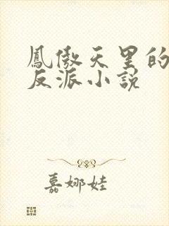 凤傲天里的黄毛反派小说