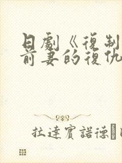 日剧《复制体:前妻的复仇》免费观看全集